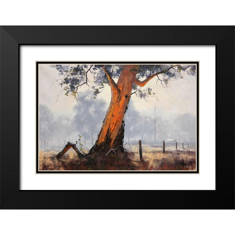 Eucalyptus Tree Paintings Black Modern Wood Framed Art Print with Double Matting by Gercken, Graham