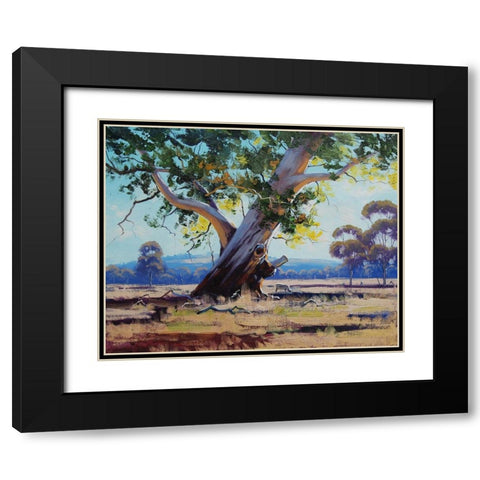 Old River Gum Tree Black Modern Wood Framed Art Print with Double Matting by Gercken, Graham