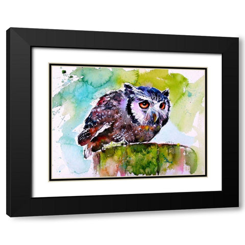 Resting Owl Black Modern Wood Framed Art Print with Double Matting by Kovacs, Anna Brigite