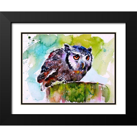 Resting Owl Black Modern Wood Framed Art Print with Double Matting by Kovacs, Anna Brigite