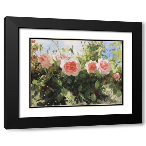 Garden Rose IV Black Modern Wood Framed Art Print with Double Matting by Strube, Ling