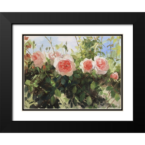 Garden Rose IV Black Modern Wood Framed Art Print with Double Matting by Strube, Ling