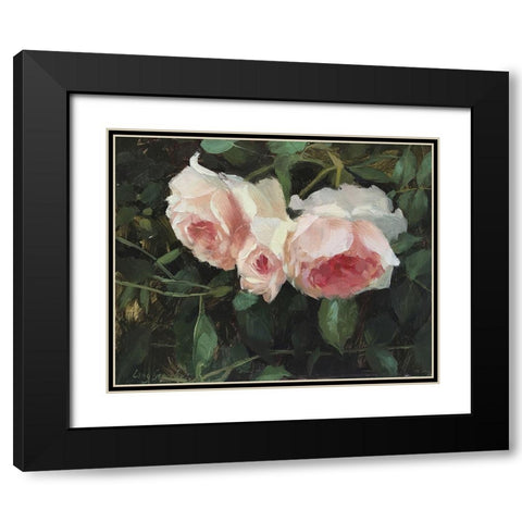 Garden Rose V Black Modern Wood Framed Art Print with Double Matting by Strube, Ling