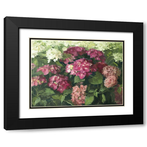 German Hydrangeas Black Modern Wood Framed Art Print with Double Matting by Strube, Ling
