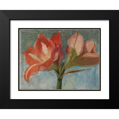 Pink Amarylis Black Modern Wood Framed Art Print with Double Matting by Strube, Ling