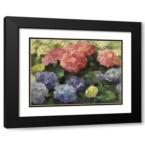 Hydrangeas Black Modern Wood Framed Art Print with Double Matting by Strube, Ling