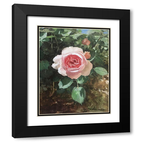 Garden Rose I Black Modern Wood Framed Art Print with Double Matting by Strube, Ling
