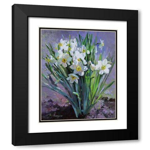Daffodils Bloomed Black Modern Wood Framed Art Print with Double Matting by Rogozina, Svetlana