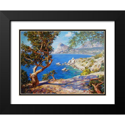 Rocky Coast II Black Modern Wood Framed Art Print with Double Matting by Sviridov, Sergei