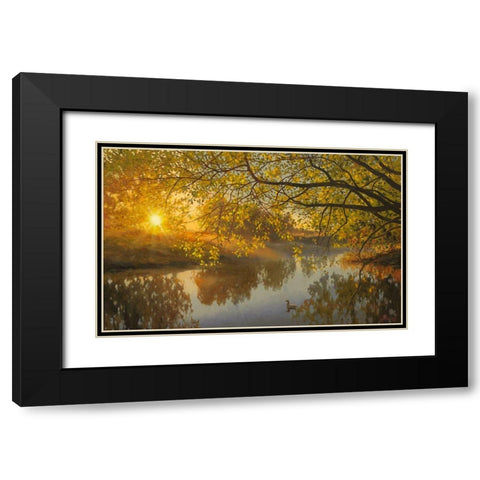 Sunrise above the  River Black Modern Wood Framed Art Print with Double Matting by Adamov, Alexey