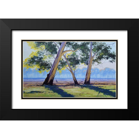 Australian Gums Black Modern Wood Framed Art Print with Double Matting by Gercken, Graham