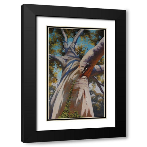 Gum Tree Portrait Black Modern Wood Framed Art Print with Double Matting by Gercken, Graham