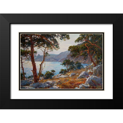 Rocky Coast VII Black Modern Wood Framed Art Print with Double Matting by Sviridov, Sergei