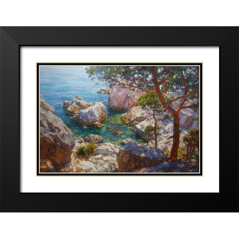 Rocky Coast X Black Modern Wood Framed Art Print with Double Matting by Sviridov, Sergei