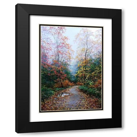 Autumn Way is waiting for you Black Modern Wood Framed Art Print with Double Matting by Cernov, Ivan