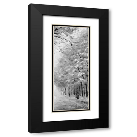 Trees by the Road II BW Black Modern Wood Framed Art Print with Double Matting by Medeiros, Celito