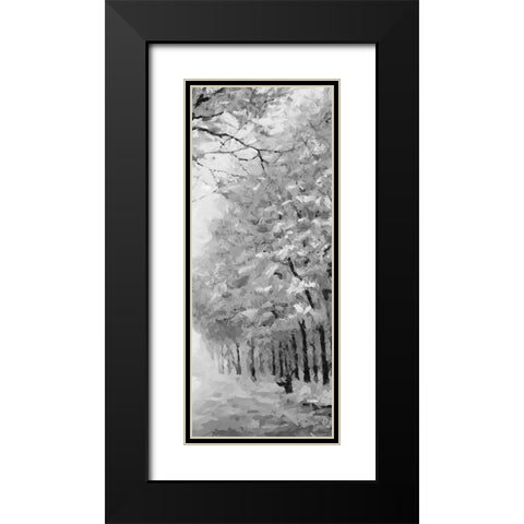 Trees by the Road II BW Black Modern Wood Framed Art Print with Double Matting by Medeiros, Celito