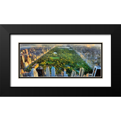 View to the Central Park IV Black Modern Wood Framed Art Print with Double Matting by Medeiros, Celito