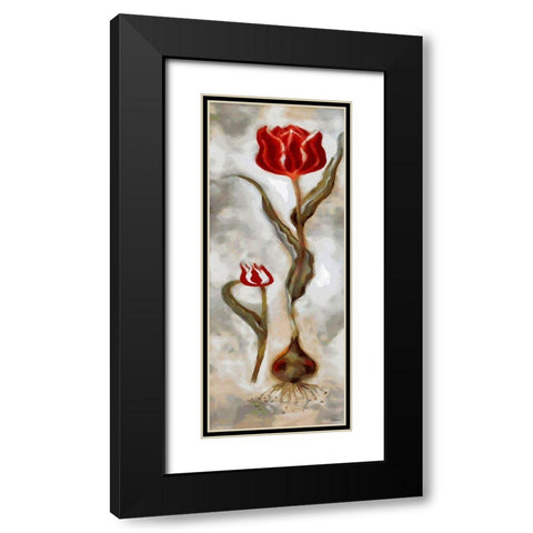 Red Tulip II Black Modern Wood Framed Art Print with Double Matting by Medeiros, Celito