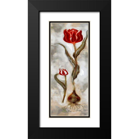 Red Tulip II Black Modern Wood Framed Art Print with Double Matting by Medeiros, Celito