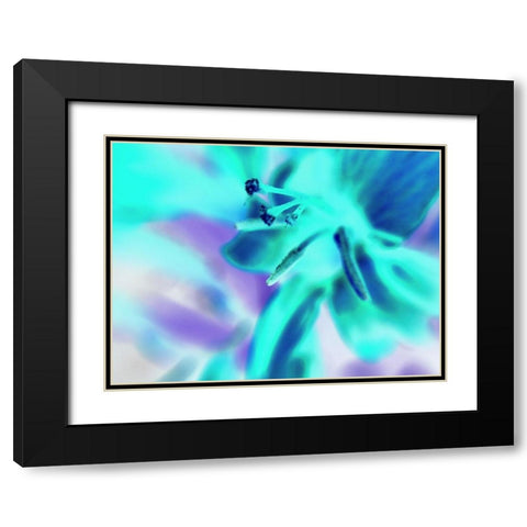 Turquoise Petals Black Modern Wood Framed Art Print with Double Matting by Grayscale
