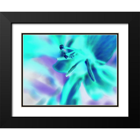 Turquoise Petals Black Modern Wood Framed Art Print with Double Matting by Grayscale