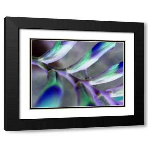 Purple Spine Black Modern Wood Framed Art Print with Double Matting by Grayscale