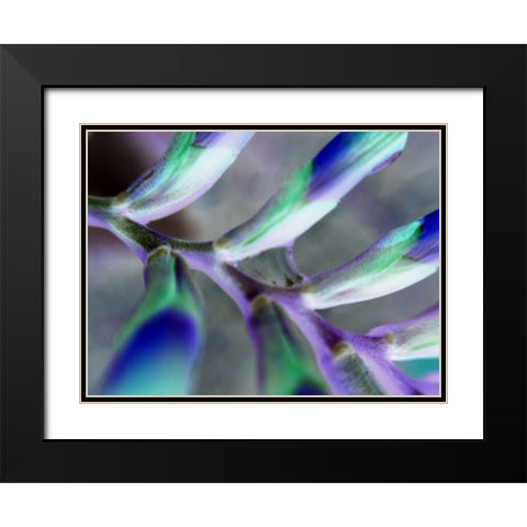 Purple Spine Black Modern Wood Framed Art Print with Double Matting by Grayscale