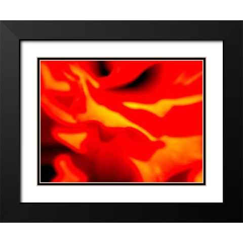 Red Petal I Black Modern Wood Framed Art Print with Double Matting by Grayscale