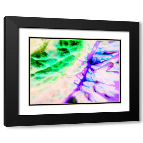 Biologic I Black Modern Wood Framed Art Print with Double Matting by Grayscale