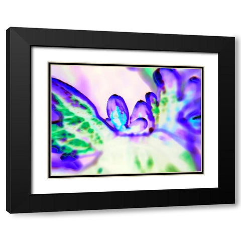 Biologic II Black Modern Wood Framed Art Print with Double Matting by Grayscale