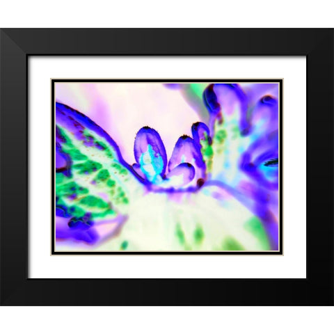 Biologic II Black Modern Wood Framed Art Print with Double Matting by Grayscale