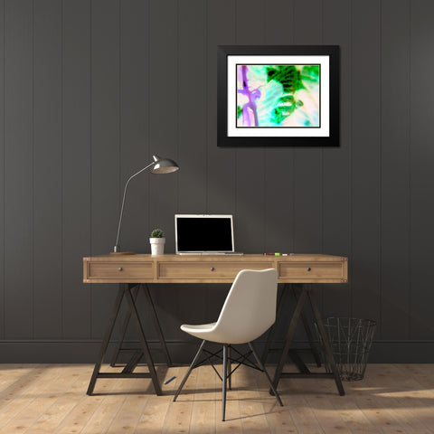 Biologic III Black Modern Wood Framed Art Print with Double Matting by Grayscale