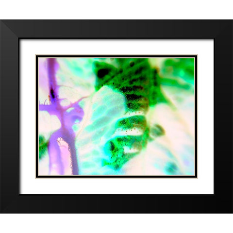 Biologic III Black Modern Wood Framed Art Print with Double Matting by Grayscale