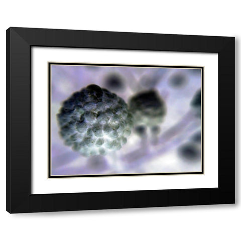 Soft Cluster I Black Modern Wood Framed Art Print with Double Matting by Grayscale