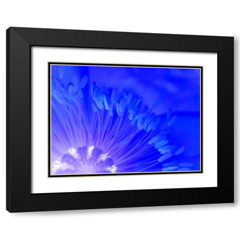 Natural Reactor I Black Modern Wood Framed Art Print with Double Matting by Grayscale