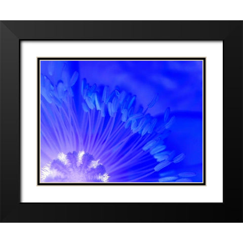 Natural Reactor I Black Modern Wood Framed Art Print with Double Matting by Grayscale