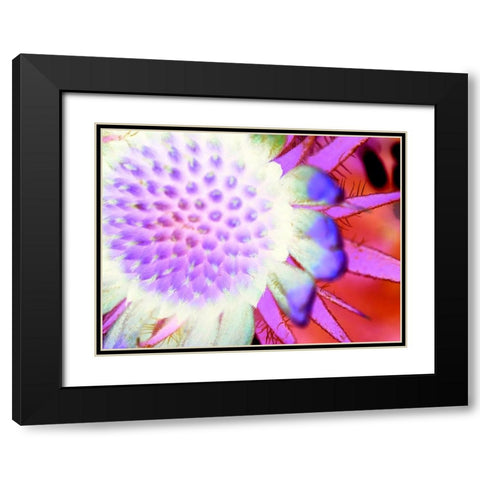 Natural Glow I Black Modern Wood Framed Art Print with Double Matting by Grayscale