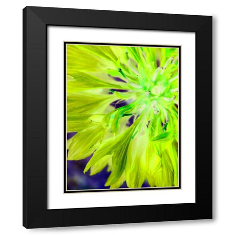 Natural Glow II Black Modern Wood Framed Art Print with Double Matting by Grayscale