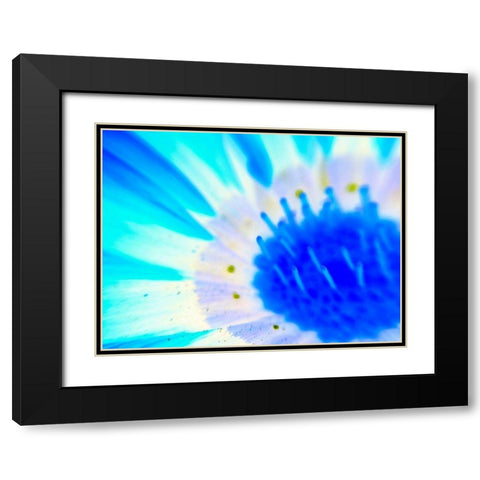 Natural Glow III Black Modern Wood Framed Art Print with Double Matting by Grayscale