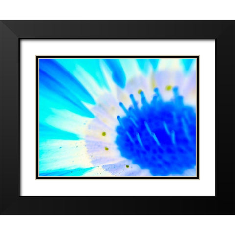 Natural Glow III Black Modern Wood Framed Art Print with Double Matting by Grayscale
