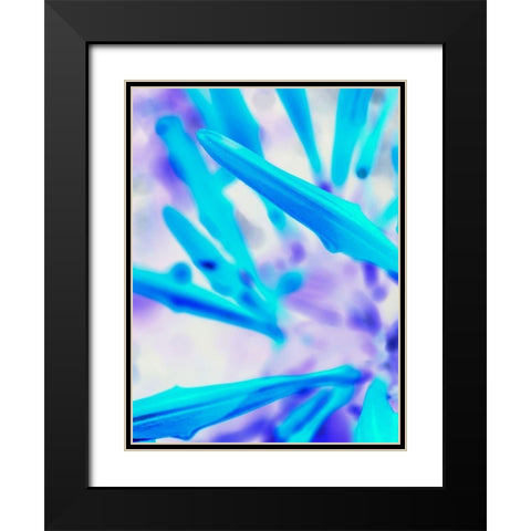 Blue Spines I Black Modern Wood Framed Art Print with Double Matting by Grayscale