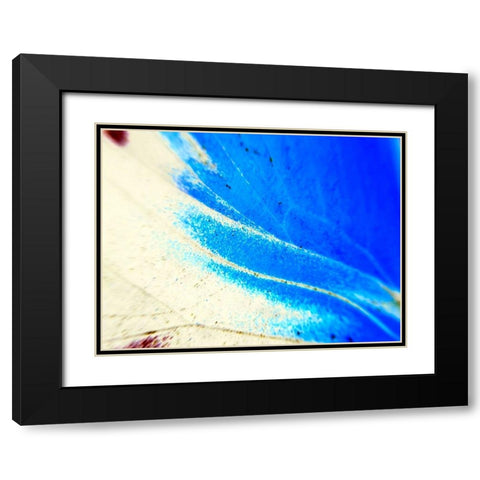 Stained Wing II Black Modern Wood Framed Art Print with Double Matting by Grayscale
