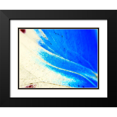 Stained Wing II Black Modern Wood Framed Art Print with Double Matting by Grayscale