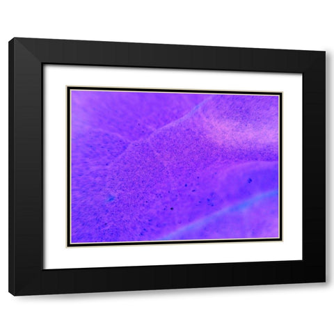 Energy Connection II Black Modern Wood Framed Art Print with Double Matting by Grayscale