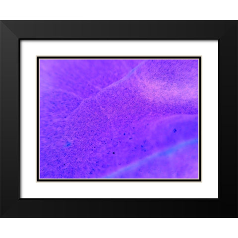 Energy Connection II Black Modern Wood Framed Art Print with Double Matting by Grayscale