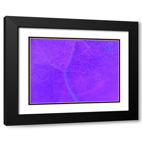 Energy Connection III Black Modern Wood Framed Art Print with Double Matting by Grayscale