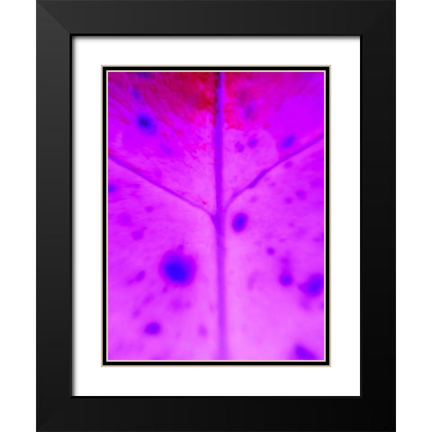Purple Branch Black Modern Wood Framed Art Print with Double Matting by Grayscale