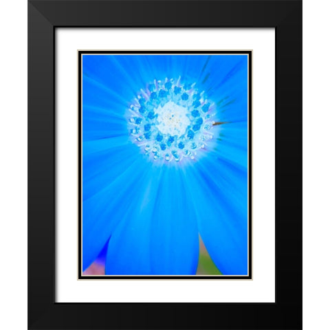 Natural Reactor II Black Modern Wood Framed Art Print with Double Matting by Grayscale