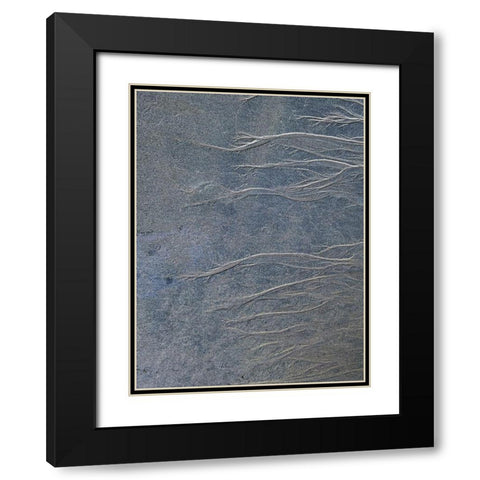 Sand Fibers I Black Modern Wood Framed Art Print with Double Matting by Grayscale